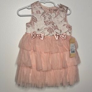 Nanette Lepore Blush Sequin Floral Dress